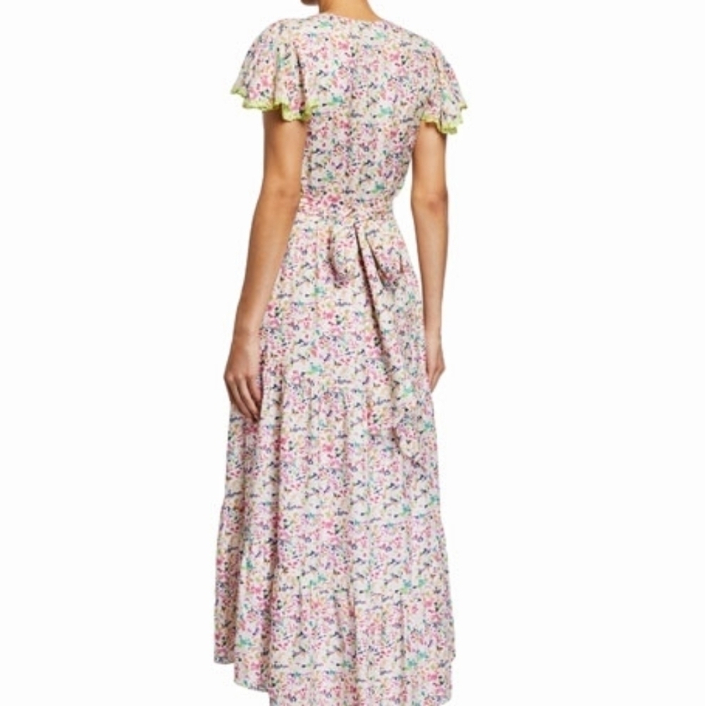 𝅺TANYA Taylor Liza Confetti Print Maxi Dress - Picture 3 of 11